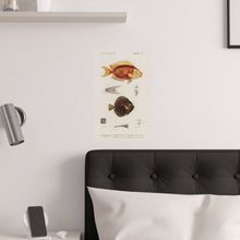 Load image into Gallery viewer, Dictionnaire Universel D'histoire Naturelle Poissons Poster